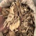 当归、云南云当归大量有货，量大价格从优，可视频看货