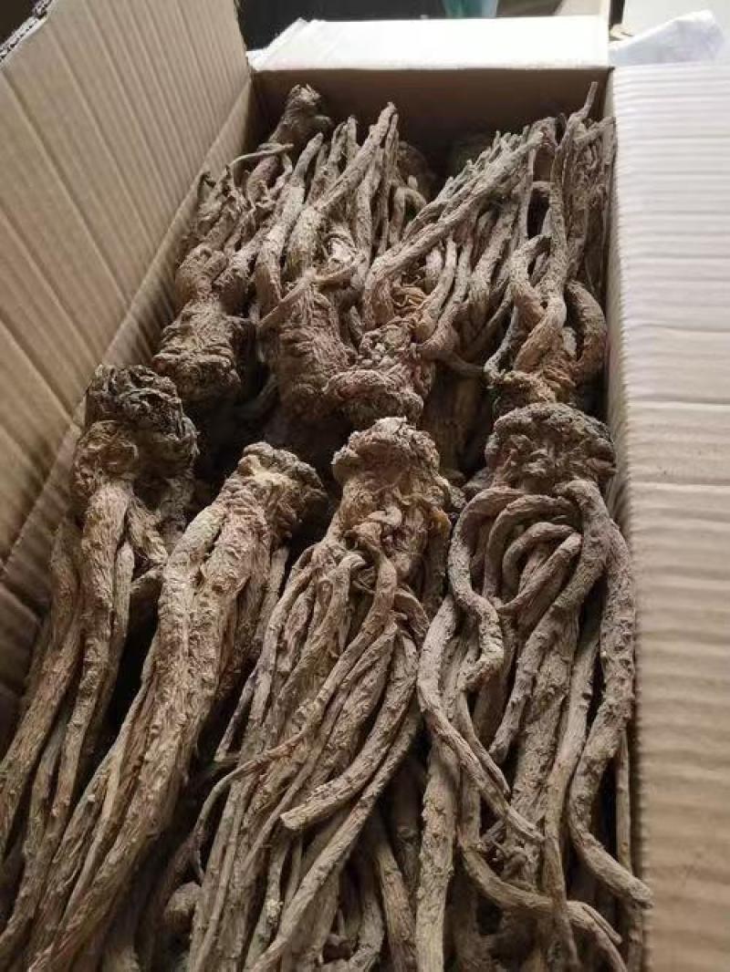 当归、云南云当归大量有货，量大价格从优，可视频看货