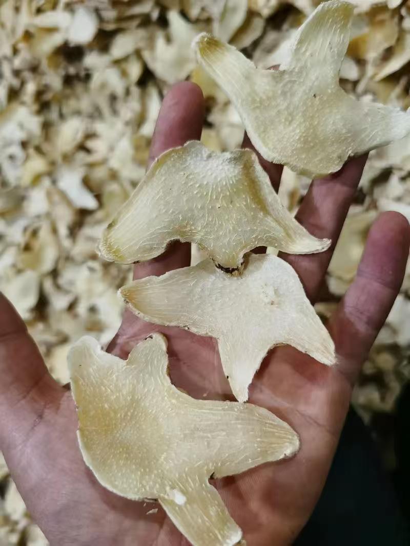 白及片、中药材白岌片大量有货，量大价格从优，全国发货