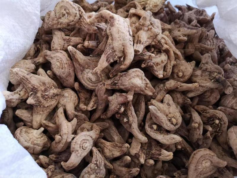白及片、中药材白岌片大量有货，量大价格从优，全国发货