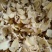 白及片、中药材白岌片大量有货，量大价格从优，全国发货