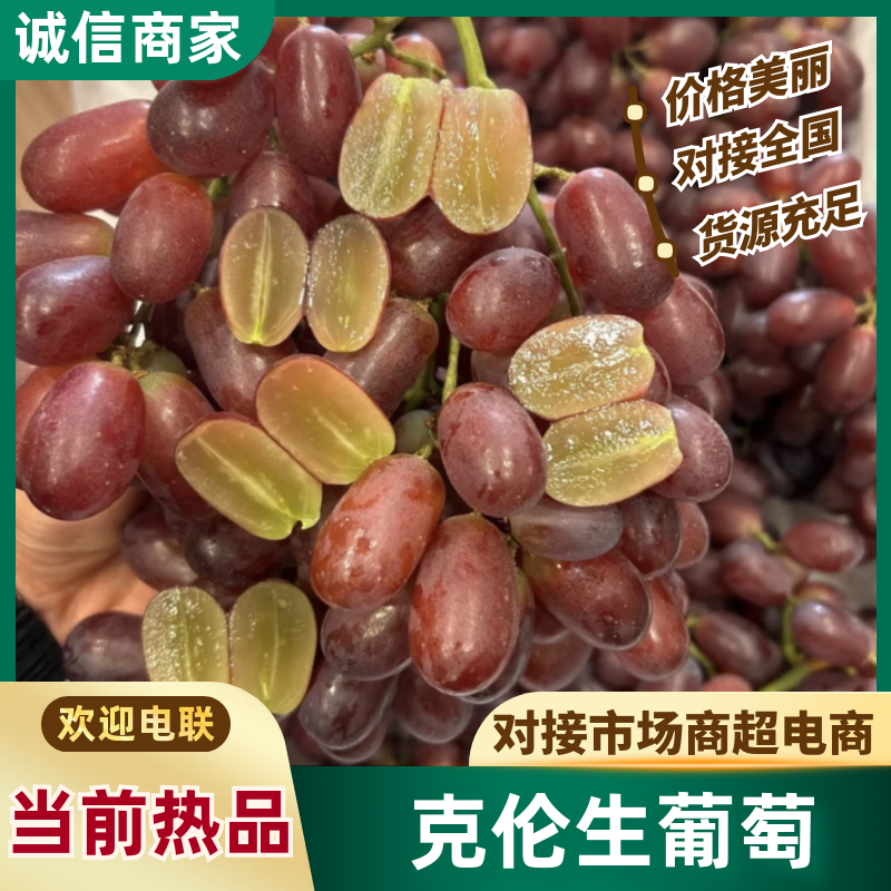 克伦生葡萄山西葡萄基地直发供应全国市场电商