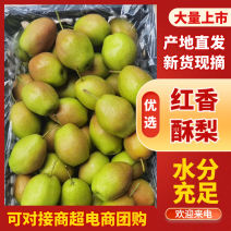 【山西红香酥梨】山西酥梨皮薄多汁支持视频和实地看货
