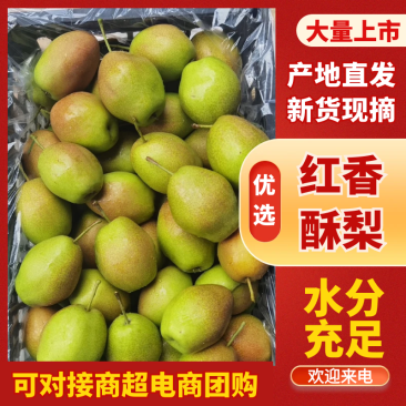 【山西红香酥梨】山西酥梨皮薄多汁支持视频和实地看货