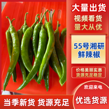 阜阳市阜南县专业对接一条龙服务55号湘研