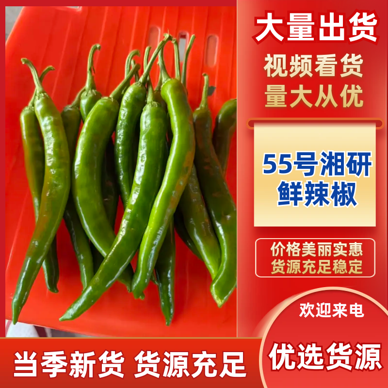 阜阳市阜南县专业对接一条龙服务55号湘研