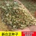 白芷种子白芷籽一斤起批包邮