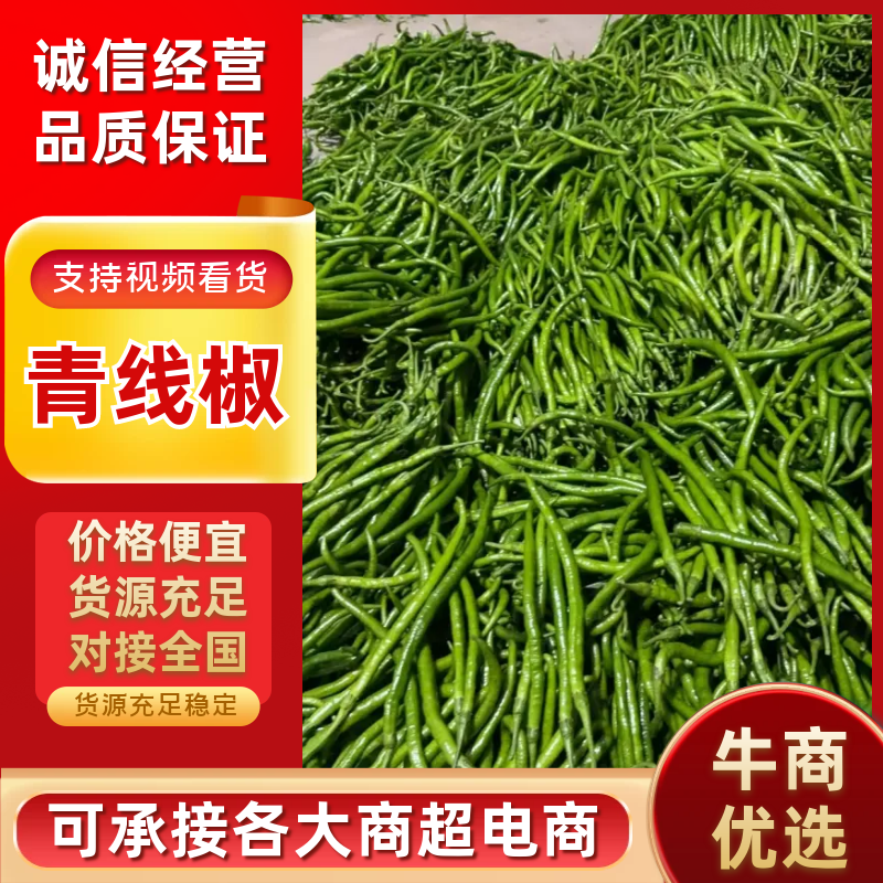 【推荐】安徽鲜辣椒/线椒/大量供应/全国发货/欢迎咨询