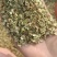 白芷种子白芷籽一斤起批包邮
