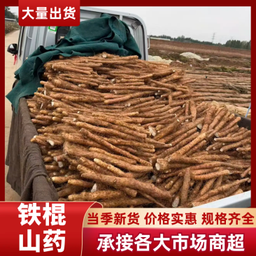 铁棍山药新品上市铁棍山药产地直供适合商超批发市场和电商团购