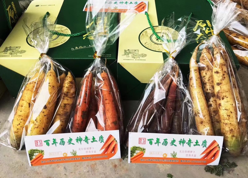 彩色水果萝卜山西原平水果萝卜彩萝卜营养丰富价格时候基地直发