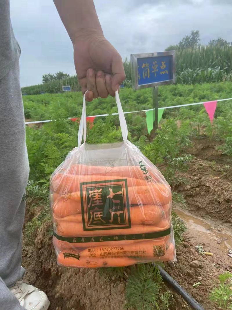 彩色水果萝卜山西原平水果萝卜彩萝卜营养丰富价格时候基地直发