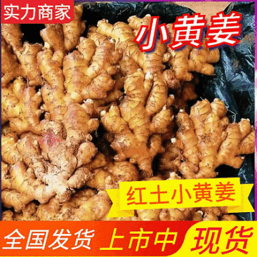 小黄姜【电商加工厂市场】坏烂包赔可全国发货