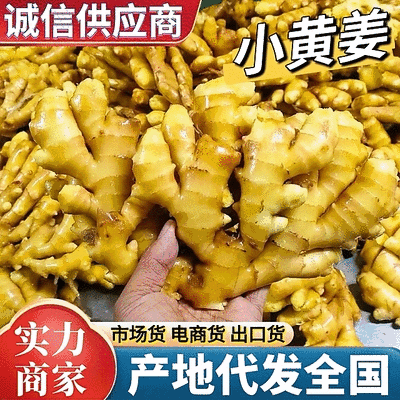 山东小黄姜产地一手货源，货源充足，保质保量，全国发货