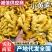 山东小黄姜产地一手货源,货源充足,保质保量,全国发货