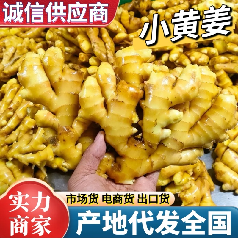 山东小黄姜产地一手货源，货源充足，保质保量，全国发货