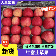 【店主推荐】山东正宗红富士苹果产地，一手货源，随到随装
