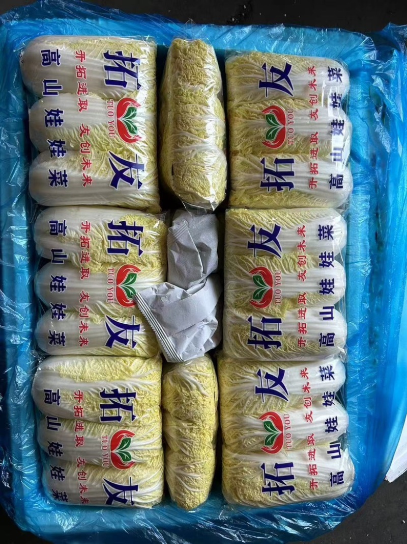 郑州中牟娃娃菜新鲜上市欢迎进店咨询电话联系更加优惠