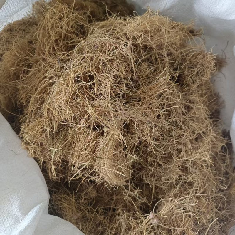 中药材细辛辽细辛北细辛细心段现货供应品种齐全