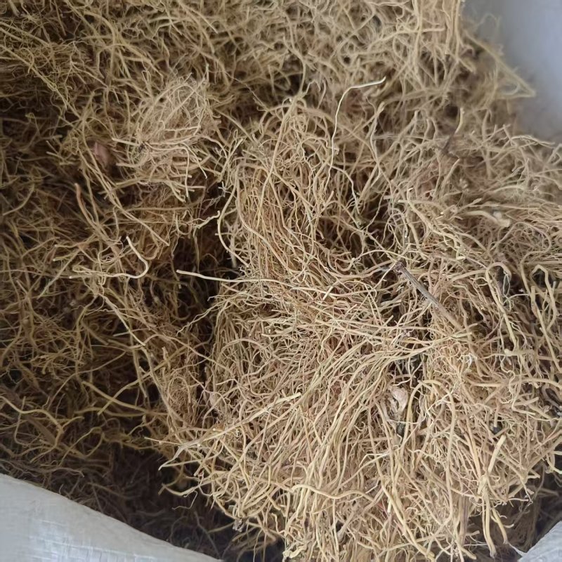 中药材细辛辽细辛北细辛细心段现货供应品种齐全