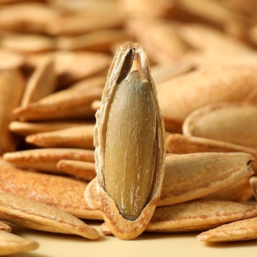长粒美人甲南瓜子椒盐味薄皮原味新货