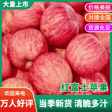 运城平陆高原红富士，口感色度个头**走货快欢迎八方来品鉴