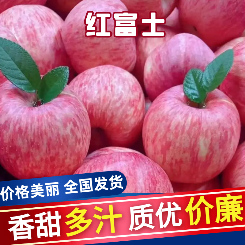 中国苹果之都山西运城平陆县中条山海拔高，特定的气候结出来
