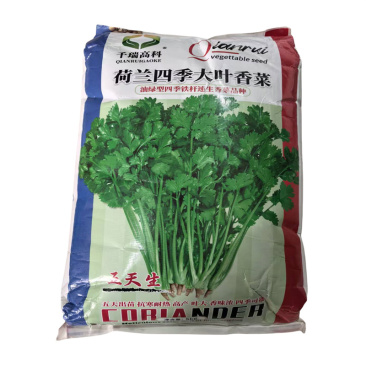 荷兰四季大叶香菜种子耐热耐寒耐抽苔芫荽种子高产10斤