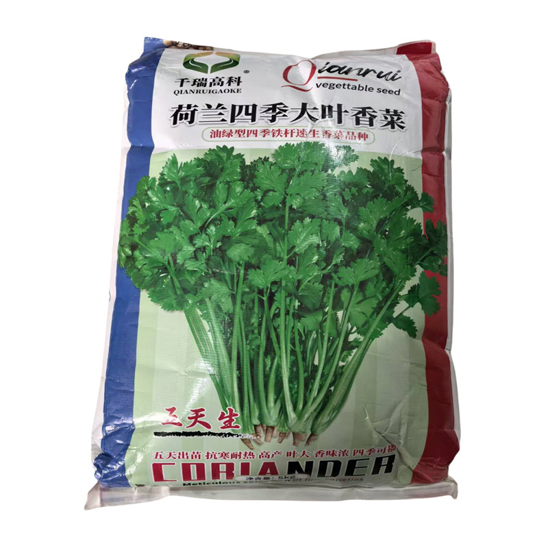 荷兰四季大叶香菜种子耐热耐寒耐抽苔芫荽种子高产10斤