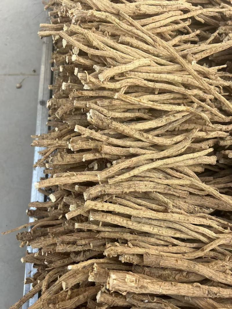 安徽优良防风种植基地直发药厂专供欢迎选购