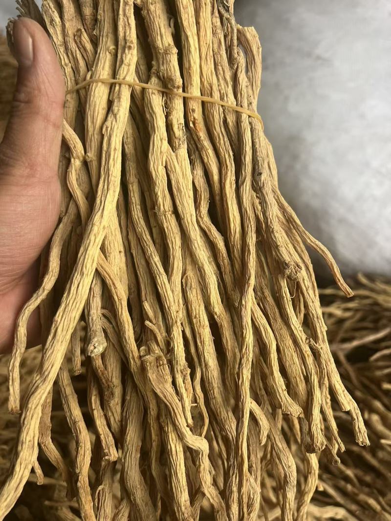 中药材防风品质优良一手货源医院药厂专供