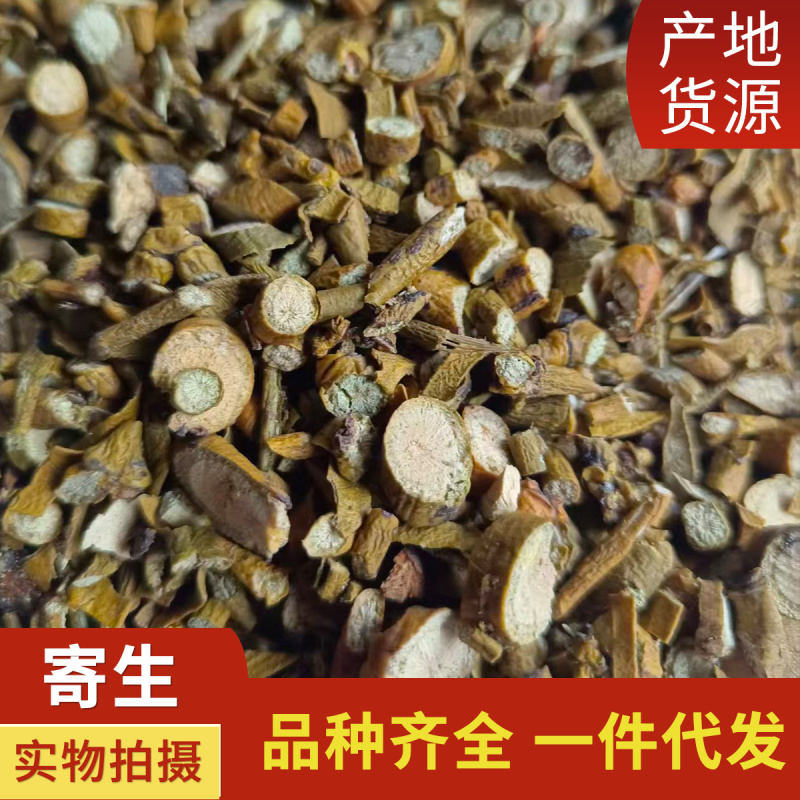 中药材寄生新货槲寄生道地药材桑寄生品种齐全