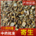 中药材寄生新货槲寄生道地药材桑寄生品种齐全