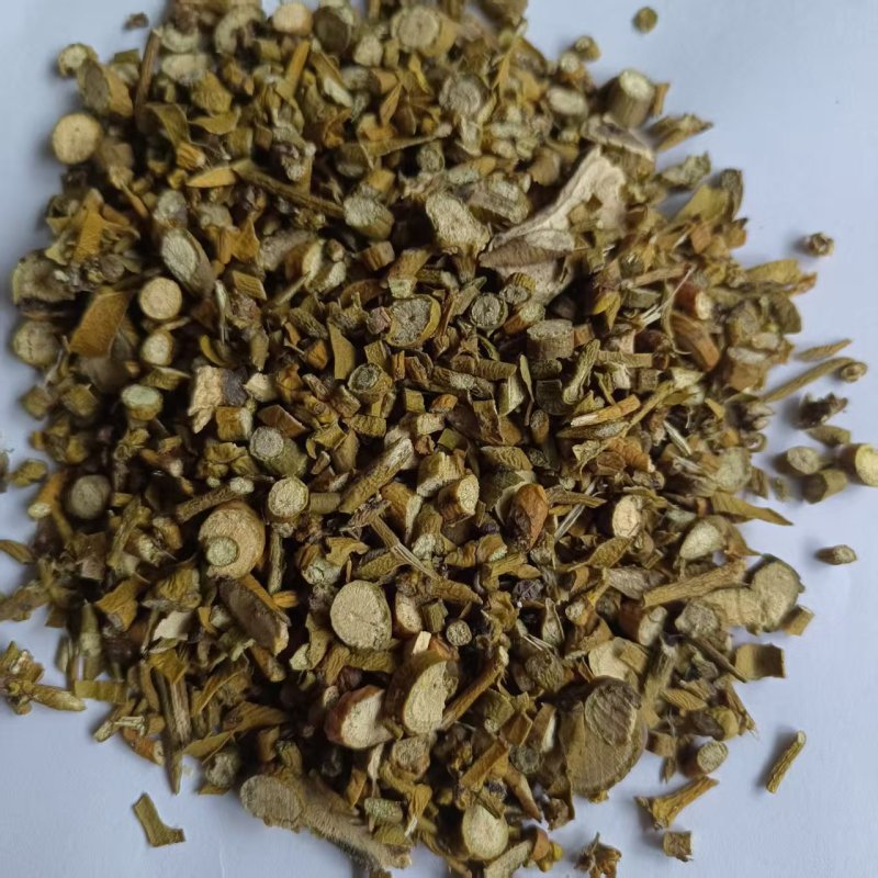 中药材寄生新货槲寄生道地药材桑寄生品种齐全