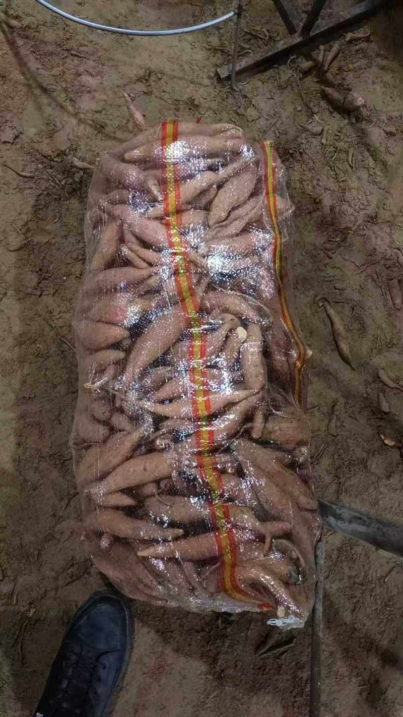 烟薯红薯河北烟薯25基地直供市场批发电商超市烤薯店欢迎联系