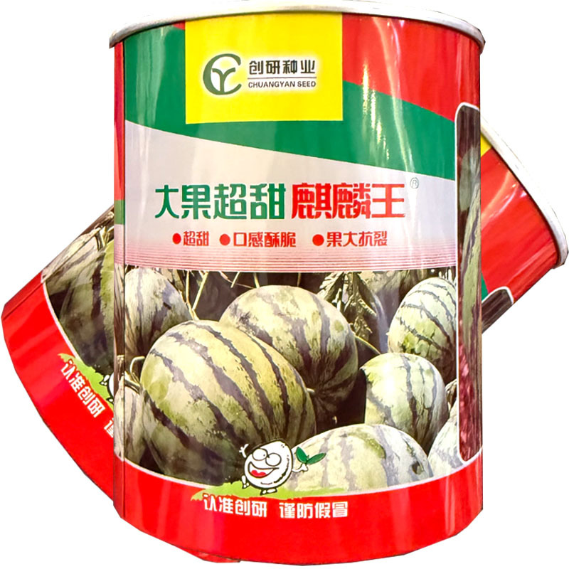 大果超甜麒麟王西瓜种子早熟抗裂耐重茬麒麟西瓜种子