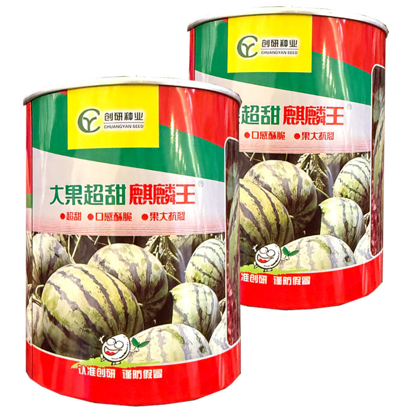 大果超甜麒麟王西瓜种子早熟抗裂耐重茬麒麟西瓜种子