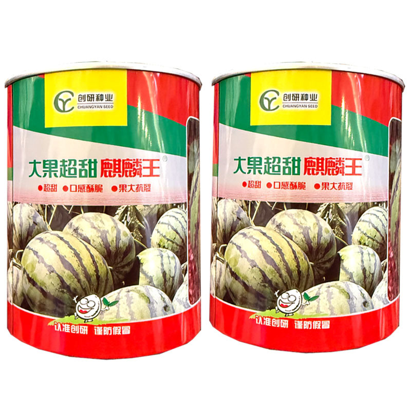 大果超甜麒麟王西瓜种子早熟抗裂耐重茬麒麟西瓜种子