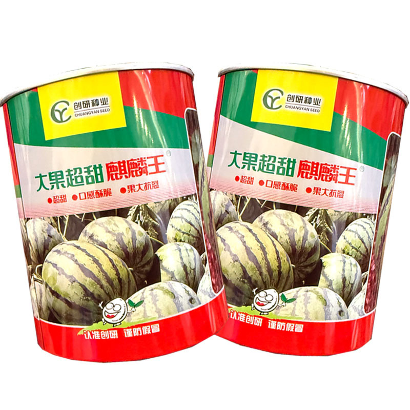 大果超甜麒麟王西瓜种子早熟抗裂耐重茬麒麟西瓜种子