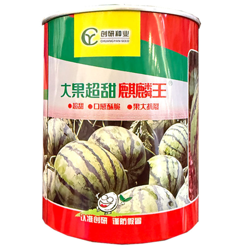 大果超甜麒麟王西瓜种子早熟抗裂耐重茬麒麟西瓜种子