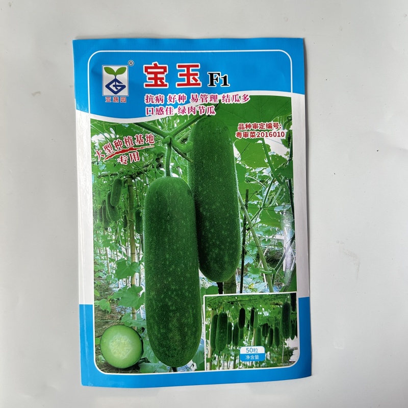 农科院小冬瓜种子水果迷你毛节瓜种籽大全早熟高产耐热蔬菜种