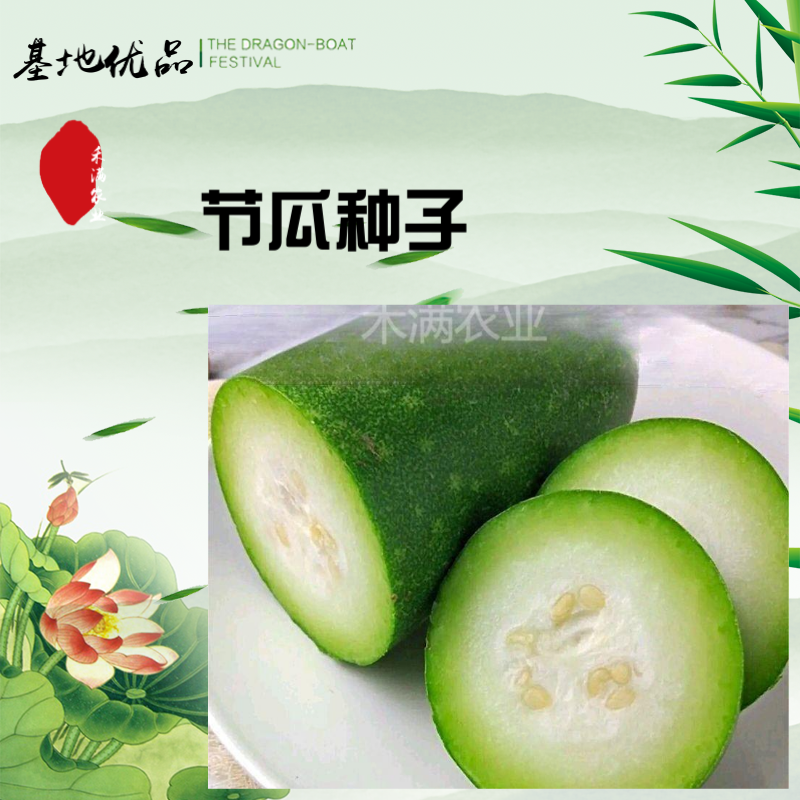 农科院小冬瓜种子水果迷你毛节瓜种籽大全早熟高产耐热蔬菜种