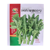 板蓝根菜苔种子高产国苔绿油10号杂交耐高温耐低温多次采收