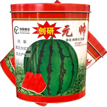 创研元帅西瓜种子抗裂耐重茬大红瓤西瓜种籽薄皮耐贮运基地种