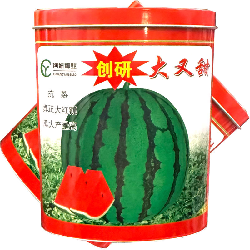 大又甜地雷西瓜种子抗裂麒麟西瓜种子早熟大红瓤耐重茬基地种