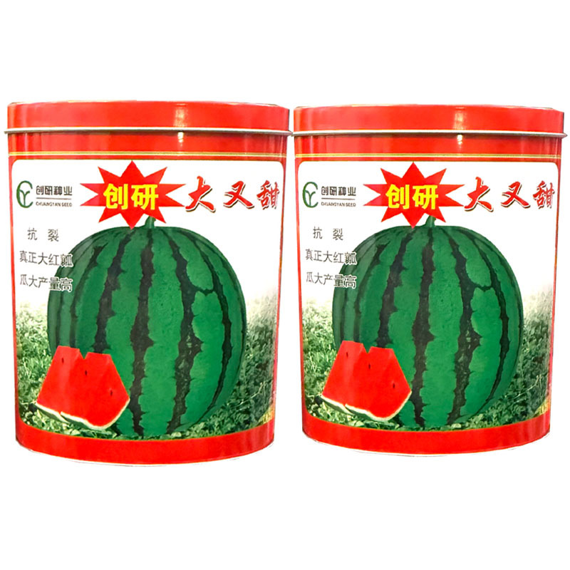 大又甜地雷西瓜种子抗裂麒麟西瓜种子早熟大红瓤耐重茬基地种