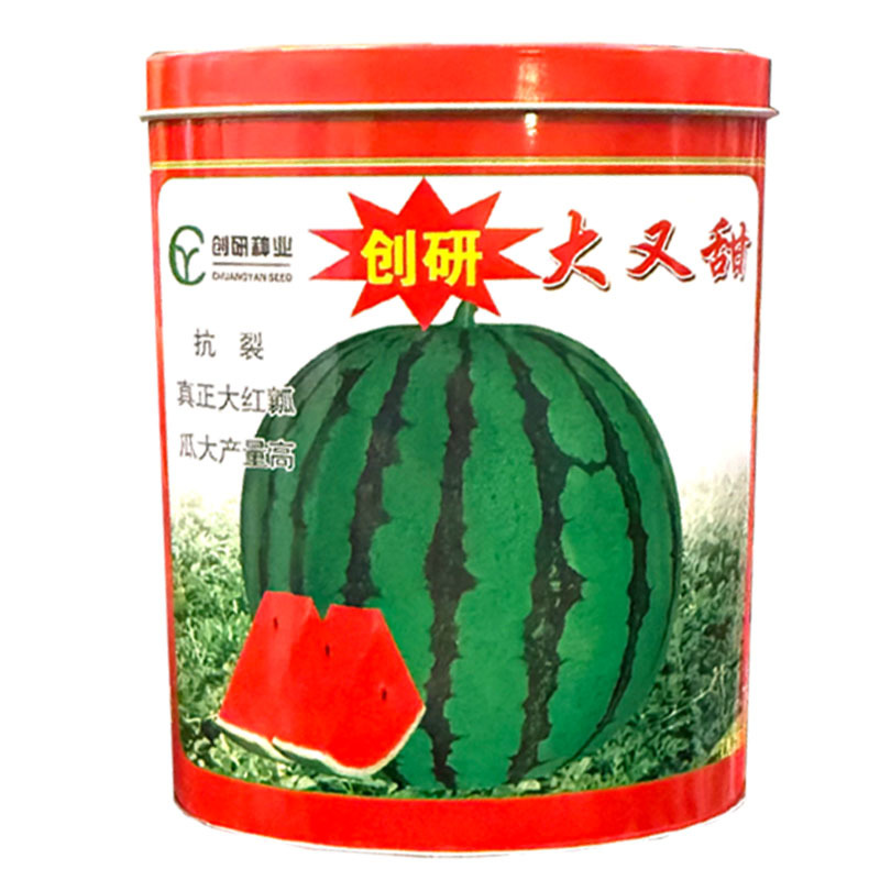 大又甜地雷西瓜种子抗裂麒麟西瓜种子早熟大红瓤耐重茬基地种