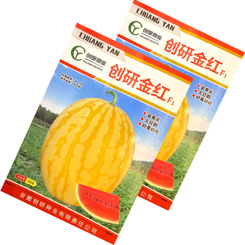 创研金红黄皮红肉西瓜种子杂交早熟红瓤西瓜种籽基地种植