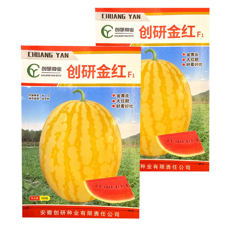 创研金红黄皮红肉西瓜种子杂交早熟红瓤西瓜种籽基地种植