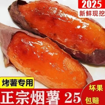 【热卖】烟薯25红薯软糯香甜品质保障对接电商市场